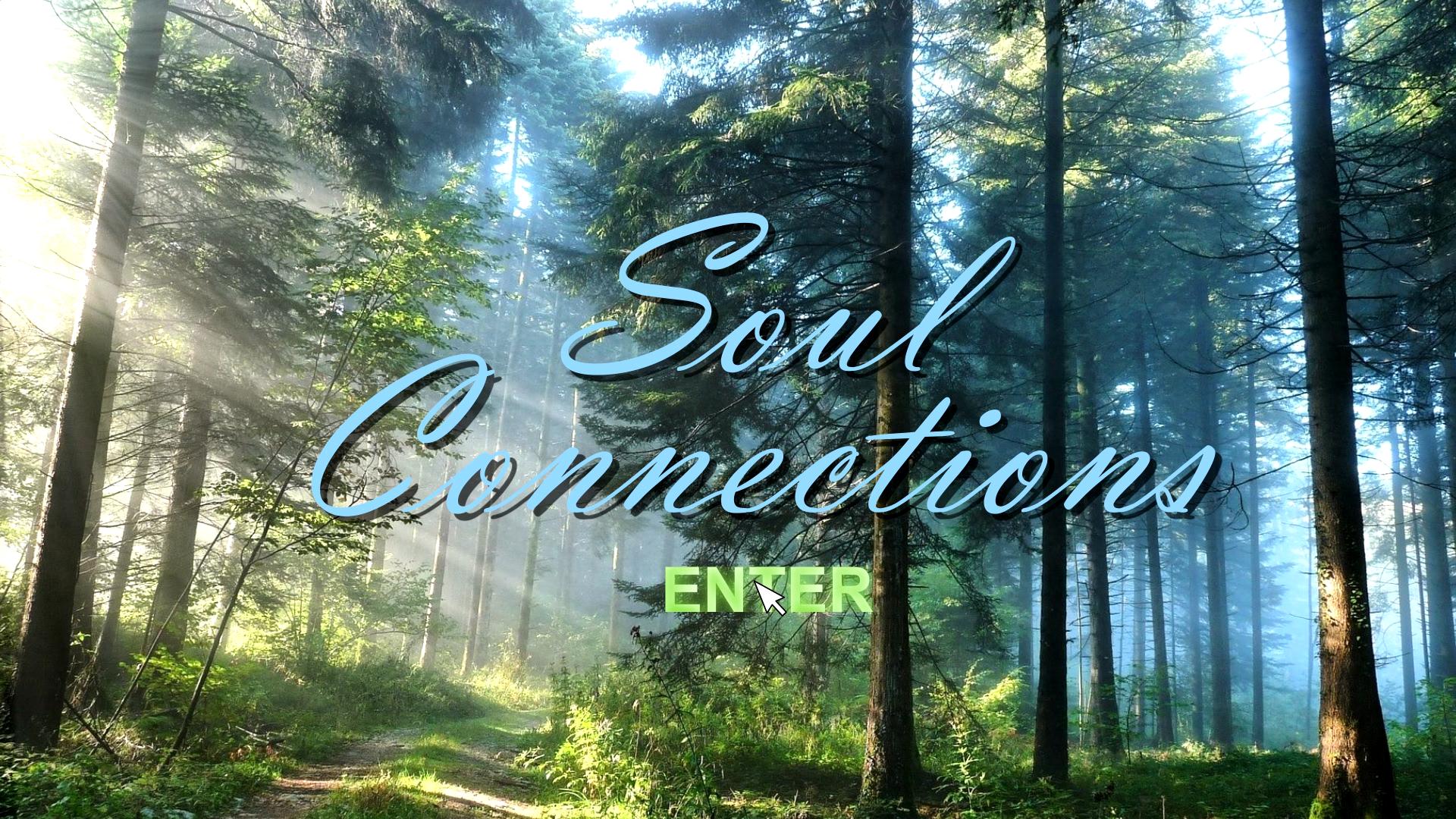 Soul Connections